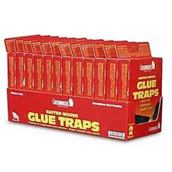 Atlantic Paste & Glue ATLANTIC PASTE & GLUE 102 2PK C Mast Mouse Gl